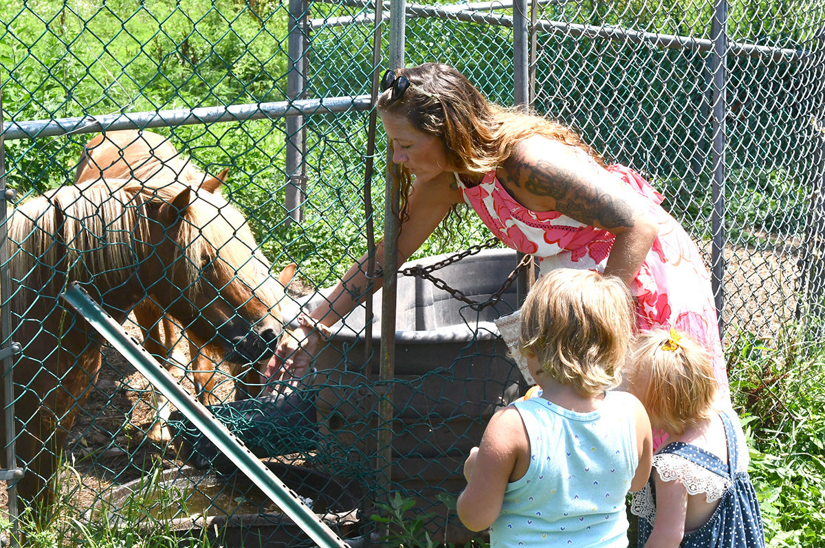 Shannon Sharkazy feeds her mini-horses, Moonshine and Blaze, with her daughter, 5-year-old Mason.