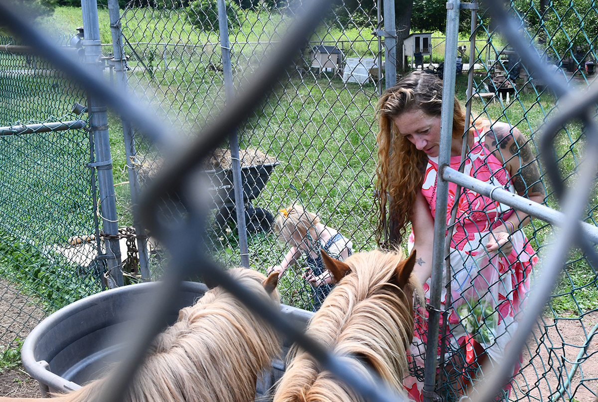 Shannon Sharkazy feeds her mini-horses, Moonshine and Blaze, vegetable scraps while Emerson, 4, left, and Mason, 5, watch their mother.